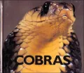 Cobras