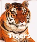 Tigers