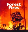 Forest Fires