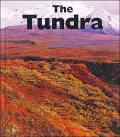 The Tundra