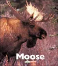 Moose