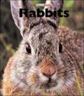 Rabbits