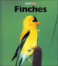 Finches