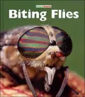 Biting Flies