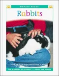 Rabbits