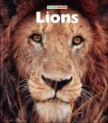 Lions