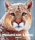 Mountain Lions