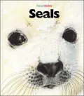 Seals