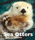 Sea Otters