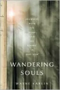 Wandering Souls: Journeys With the Dead and the Living in Viet Nam