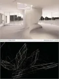 Contested Symmetries and Other Predicaments in Architecture