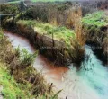 Landscape Stories