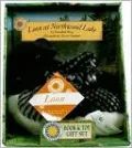Loon at Northwood Lake with Plush Toy