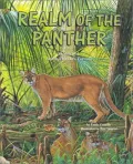 Realm of the Panther: A Story of South Florida's Forests