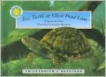 Box Turtle at Silver Pond Lane (Smithsonian's Backyard Series)
