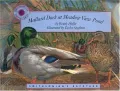 Mallard Duck at Meadow View Pond