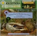 Mallard Duck at Meadow View Pond