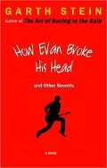 How Evan Broke His Head and Other Secrets
