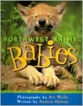 Northwest Animal Babies