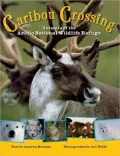 Caribou Crossing: Animals of the Arctic National Wildlife Refuge