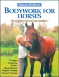 Bodywork for Horses: Techniques You Can Use Yourself