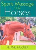Sports Massage for Horses