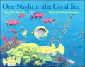 One Night in the Coral Sea