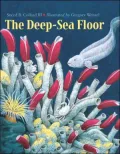 The Deep-Sea Floor