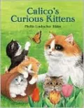 Calico's Curious Kittens