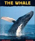 The Whale