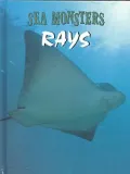 Rays