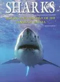 Sharks History and Biology of the Lords of the Sea