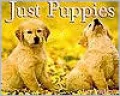 Just Puppies
