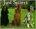 Just Setters
