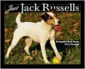 Just Jack Russells