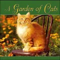 Garden of Cats