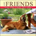 Just Friends: Buddies, Pals, Comrades, Amigos