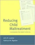 Reducing Child Maltreatment: A Guidebook for Parent Services