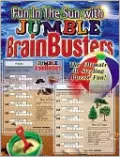 Fun in the Sun Brainbusters: The Ultimate in Sizzling Puzzle Fun!