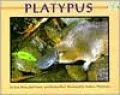 Platypus