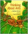 Thinking About Ants
