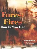Forest Fires: Run for Your Life!