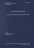 Gas Hydrates Vol. 912: Challenges for the Future
