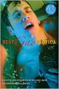 Best Gay Erotica 2005 ( Best Gay Erotica Series)