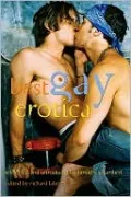 Best Gay Erotica 2007