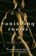 Vanishing Rooms: A Novel
