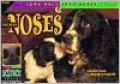 Animal Noses