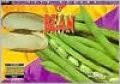 Bean