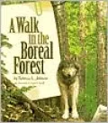 Walk in the Boreal Forest