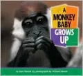 A Monkey Baby Grows Up (Baby Animals Series)